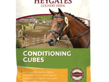 Heygates Horse Conditioning Cubes