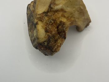 Beef knuckle bone