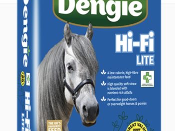 Dengie Hi Fi Lite