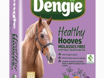 Dengie Healthy Hooves