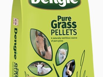 Dengie Pure Grass Pellets
