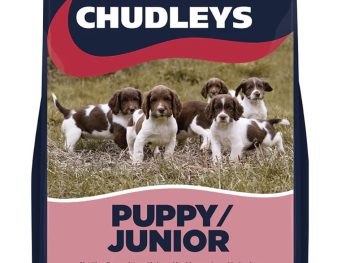 Chudleys Puppy / Junior