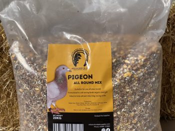 RPS Pigeon All Round Mix