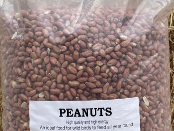 Peanuts 12.55kg