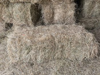 Hay Bale