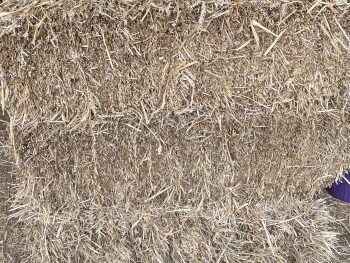 Straw Bale