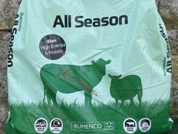 Rumevite all season Feedblocks