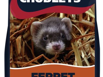 Chudleys Ferret