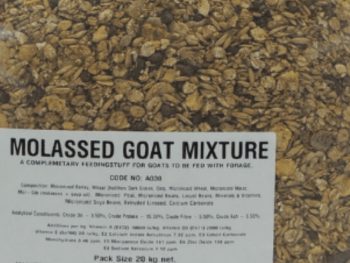 Molassed Goat mix