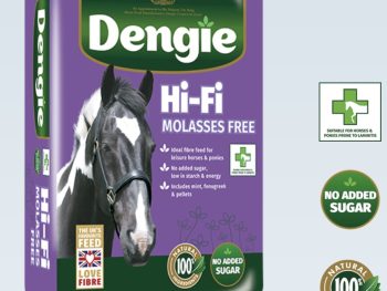 Dengie hi Fi molasses free