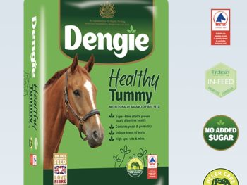 Dengie Healthy tummy