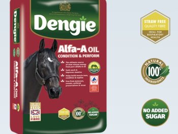Dengie Alfa a oil