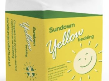 Sundown Yellow bedding