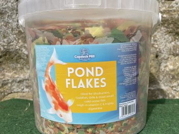Pond fish food flake