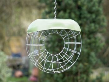 Miami wild bird fat ball doughnut feeder