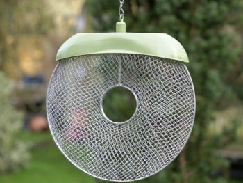 Miami wild bird peanut doughnut feeder