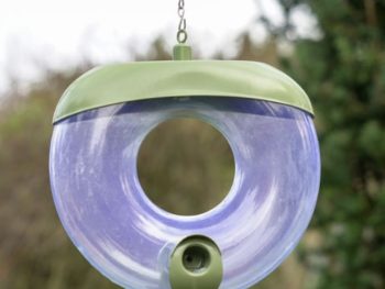 Miami wild bird seed doughnut feeder