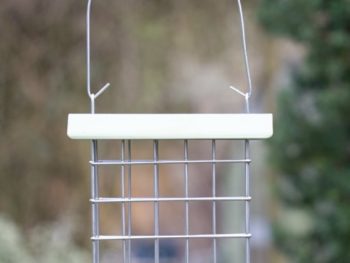 Miami wild bird suet block feeder