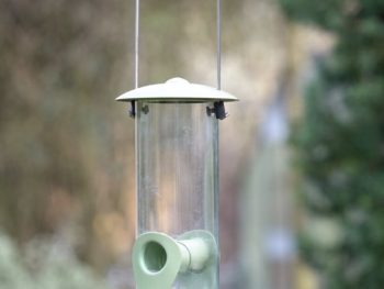 Miami wild bird Seed feeder